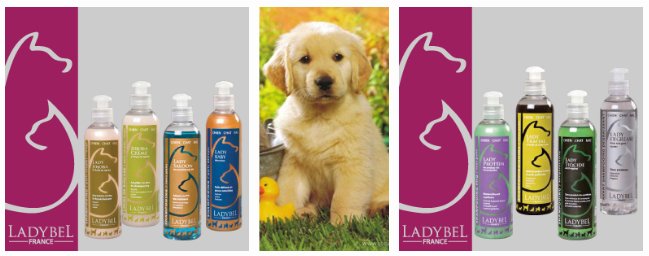 Ladybel professional cosmetics for dogs and cats