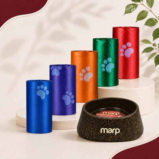 Aksesuāri suņiem un kaķiem