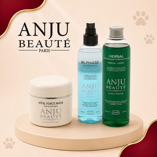 Anju Beaute (Франция)