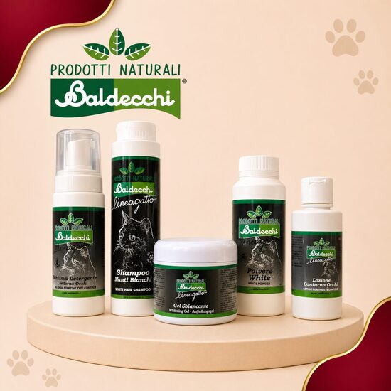 Baldecchi Cat Line (Италия)