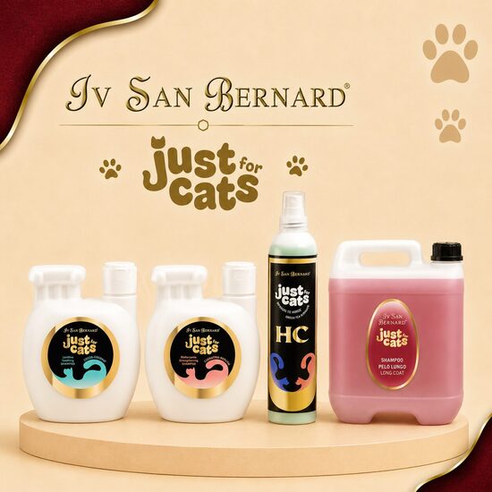 Just For CATS