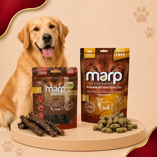 Treats for Dogs