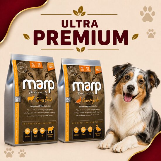 MARP Think Variety Dry Food For Dogs
