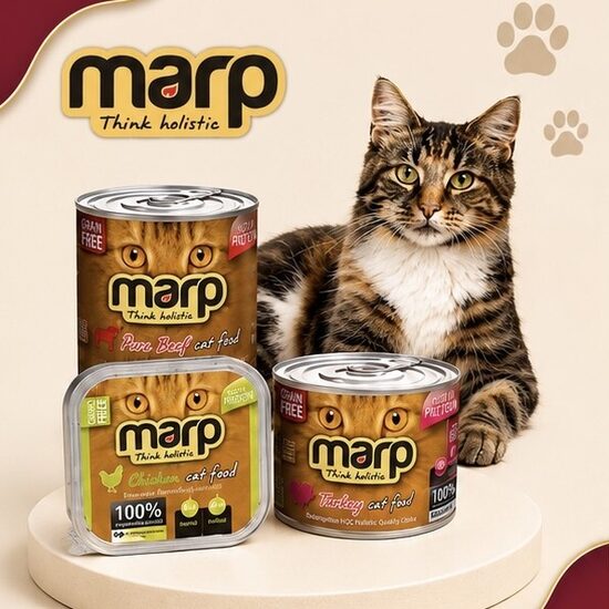 MARP konservi kaķiem