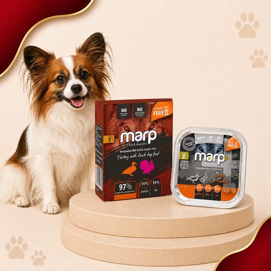 MARP konservi suņiem