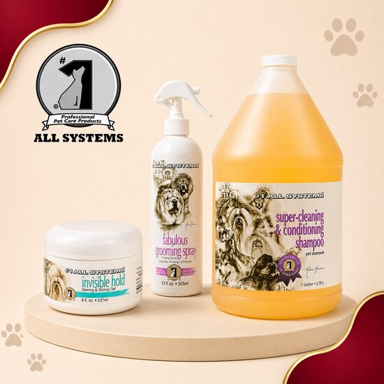 #1 All Systems (США)