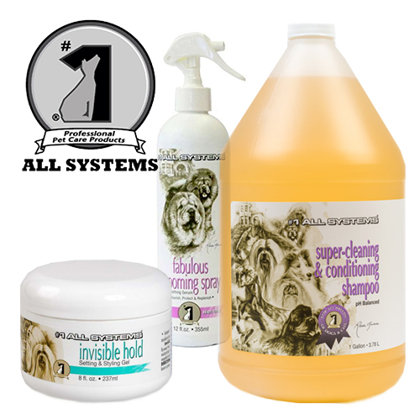 #1 All Systems (США)