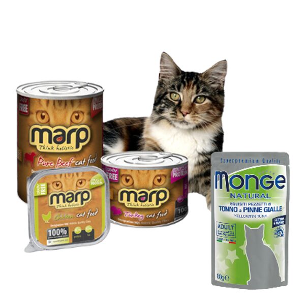 Canned Cat Food