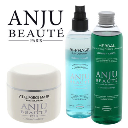 Anju Beaute (Франция)