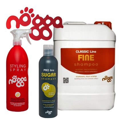 Nogga (Испания)