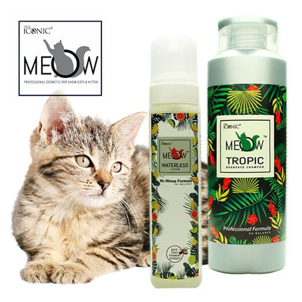 True Iconic MEOW (Малайзия)