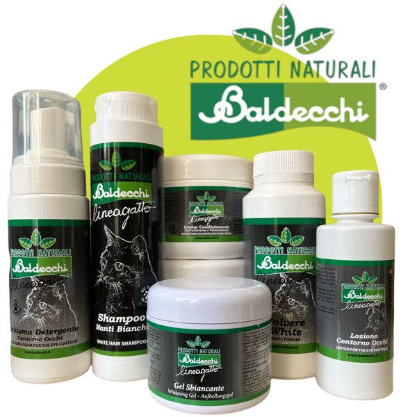 Baldecchi Cat Line (Италия)