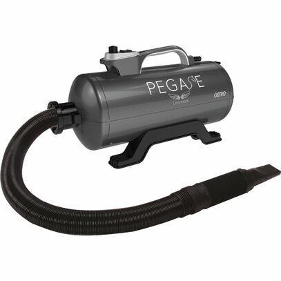 Pegase Ostro Dryer 2400 W