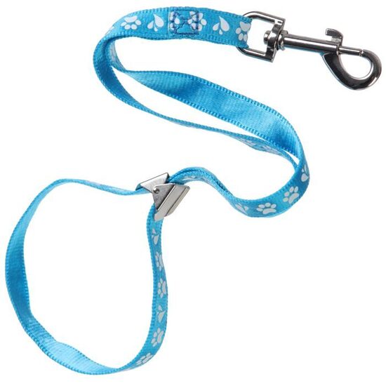 Groom Professional Ajax Pro Noose Metal Slider Paw Print Cyan Blue 42cm - 42 cm gara neilona cilpa ar metāla āķi un metāla klipsi