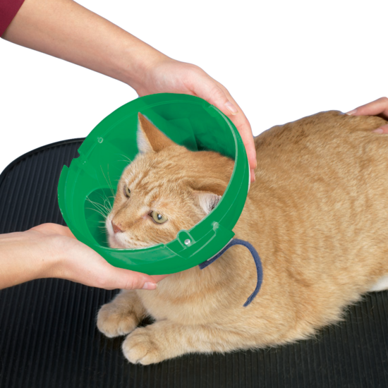 Soft Paws E-collar