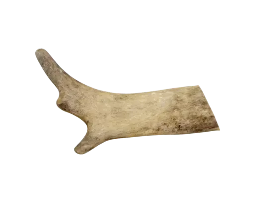 Marp Holistic - Fallow deer antlers, S (51-80g) - Dambrieža rags