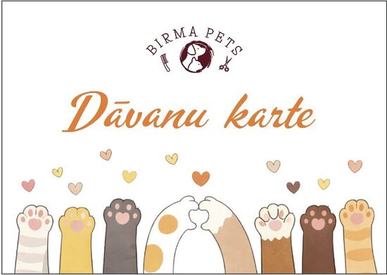 Dāvanu karte - 200 eiro vērtībā