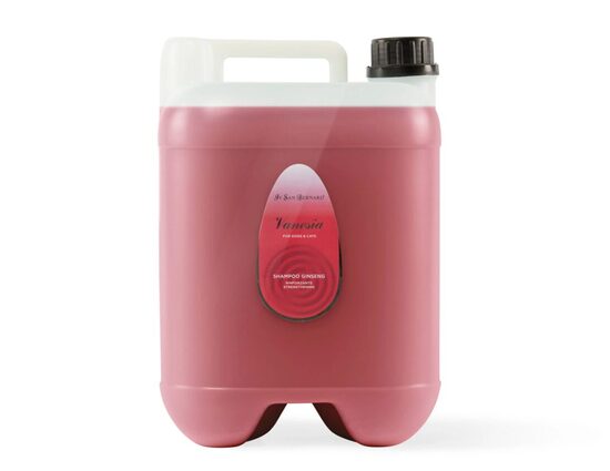 Iv San Bernard Vanesia Ginseng Shampoo, 10000 ml - stiprinošs ingvera šampūns