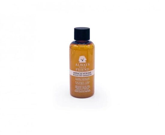 Always Your Friends Miracle Volume Boost Shampoo, 50ml - keratīna un zīda proteīnu šampūns apjomam, kas sabiezina apmatojumu