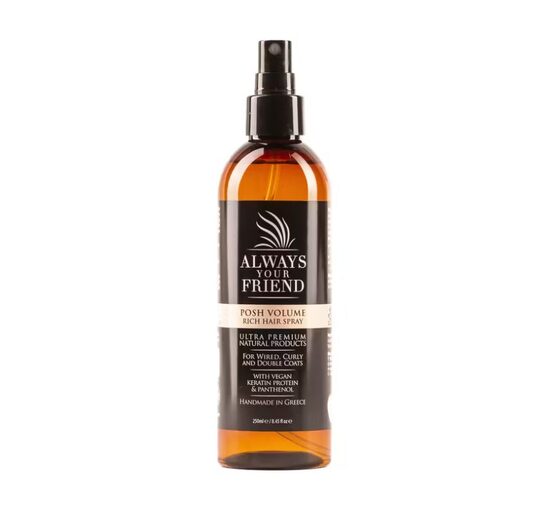 Always Your Friend Posh Volume Hair Spray, 250ml - Matu laka, kas piešķir apjomīgu efektu un pilnīgāku izskatu