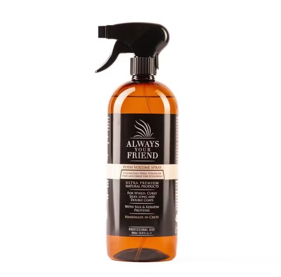 Always Your Friend Posh Volume Hair Spray, 1000ml - Matu laka, kas piešķir apjomīgu efektu un pilnīgāku izskatu