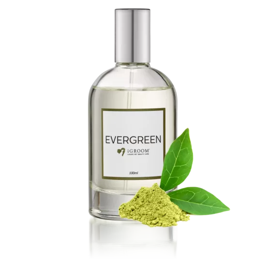 iGroom Evergreen Pet Perfume - Fresh Scent, 100mL