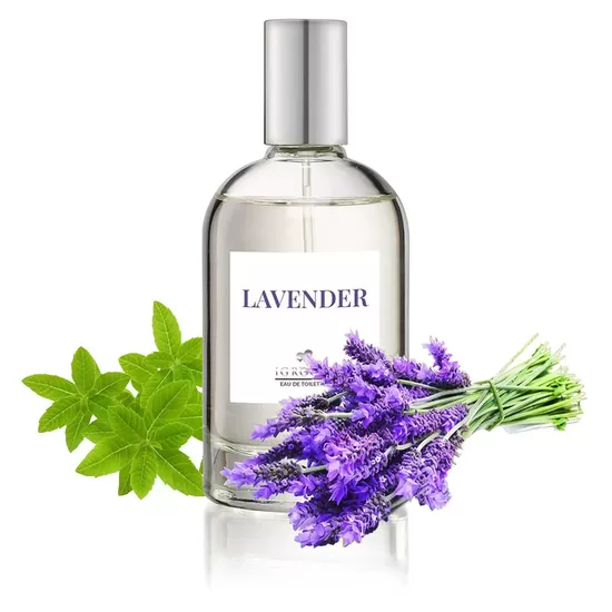 iGroom Lavendar Scented Pet Perfume, 100mL