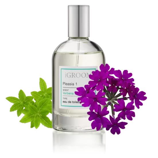 iGroom Pleasia 1 Pet Perfume - Verbena Scent, 100mL