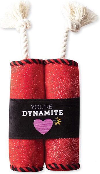 Fringe Studio Plush Dog Toy - You're Dynamite