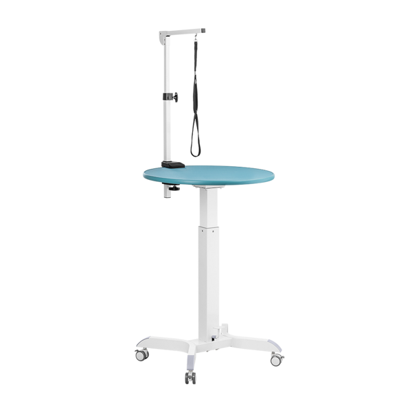 G-Point Revolution ONE XS table