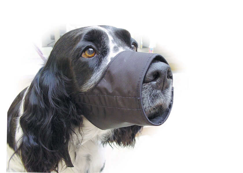 Show Tech Muzzle Size 3 XL (19,5cm) Muzzle - нейлоновый намордник