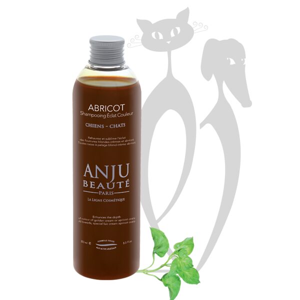 Anju Beaute Shampoo Abricot, 250 ml - оживление блеска и насыщенности блонда, кремового, песочного, абрикосового и янтарного