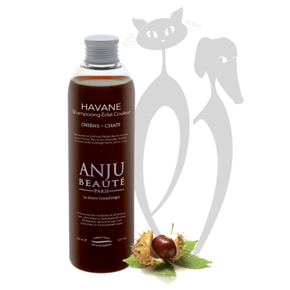 Anju Beaute Shampoo Havane, 250 ml - šampūns dzīvniekiem ar gaišas smilškrāsas, šokolādes un brūno spalvu