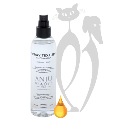 Anju Beaute Texture Lotion Spray, 250 ml - Adds body and fullness without stickiness