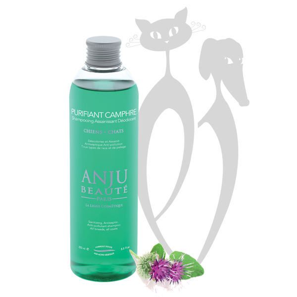 Anju Beaute Shampoo Purifiant Camphre, 250 ml - šampūns no piesārņojumiem
