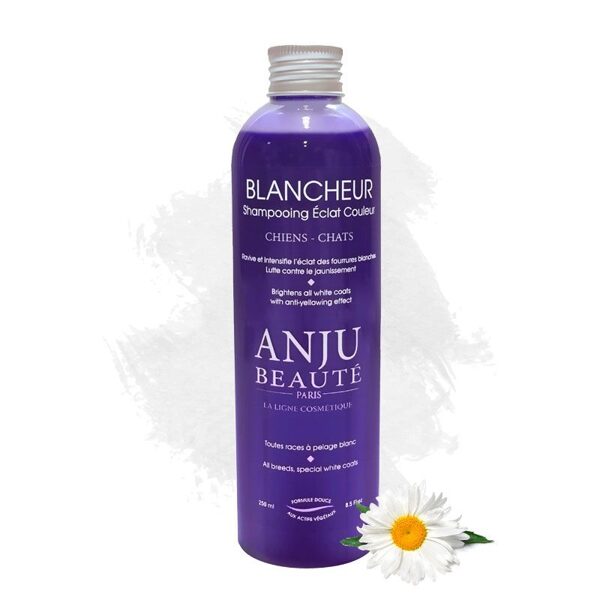 Anju Beaute Shampoo Blancheur, 250 ml - paspilgtina visus baltos toņus, ar pretdzeltēšanas efektu