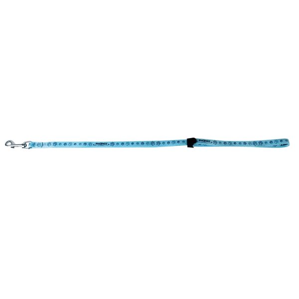 Phoenix Grooming strap 60 cm Light Blue