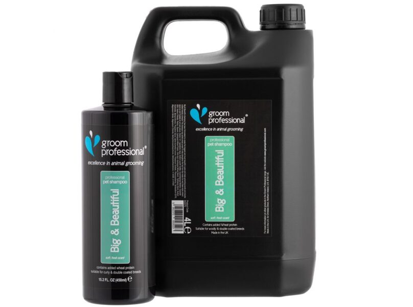 Groom Professional Big & Beautiful Volumising Shampoo, 4000 ml - šampūns dubultajam apmatojuma tipam