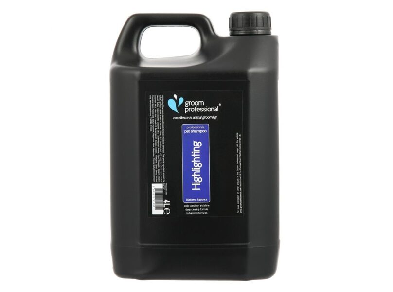 Groom Professional Blueberry Highlighting Shampoo, 4000 ml - visiem apmatojuma veidiem un krāsu izcelšanai