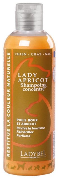 Ladybel Lady Apricot Shampoo, 200 ml - krāsu pastiprinošs šampūns dzīvniekiem ar aprikožu, zelta vai blondu spalvas nokrāsu