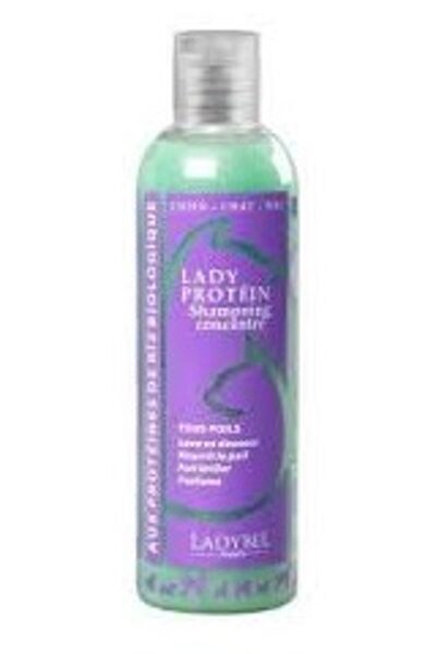 Ladybel Lady Protein Shampoo, 200 ml - питательный протеиновый шампунь