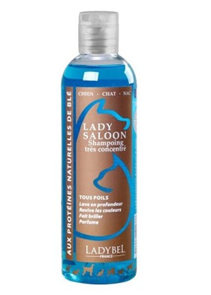 Ladybel Lady Saloon Shampoo, 200 ml - augsti koncentrēts proteīnu šampūns