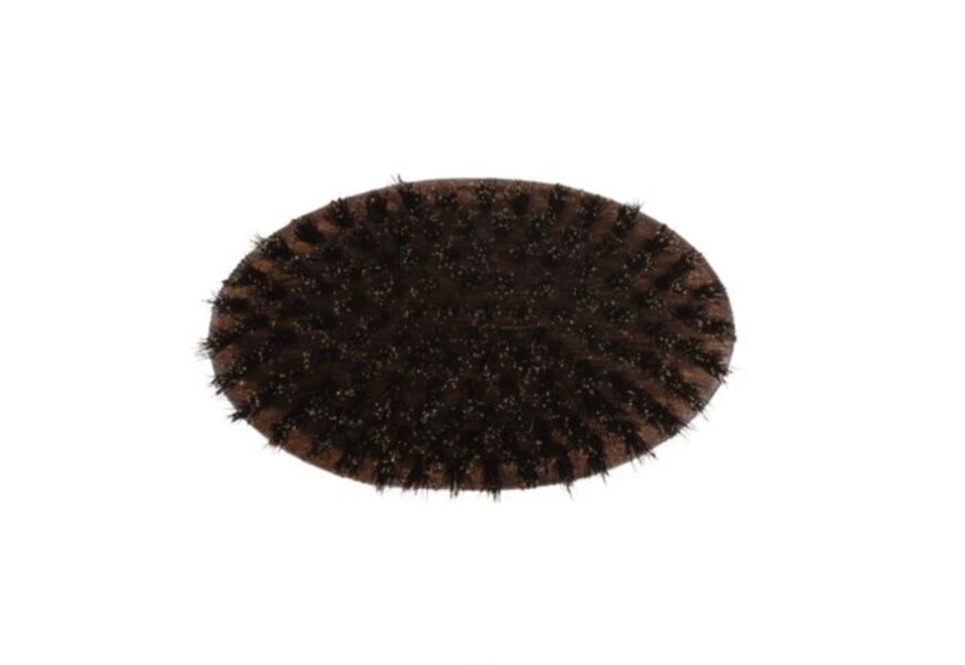 Iv San Bernard  Oval Wild Boar Brush - M