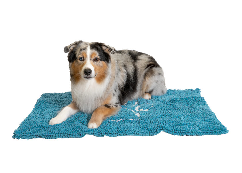 Show Tech Multipurpose Anti-Slip Absorbent Mat with Pawprint Turquoise 90 x 60 cm - Tirkīza 90x60cm