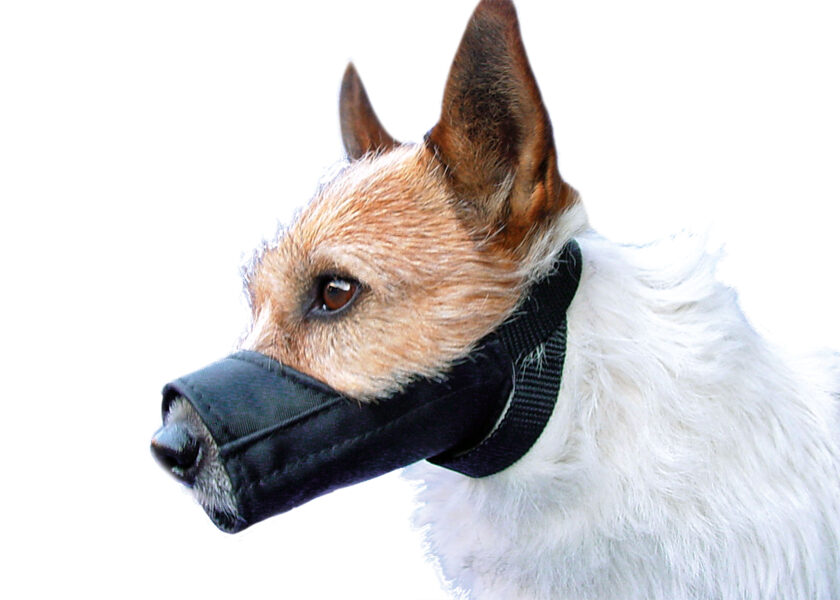 Show Tech Muzzle Size 0 (10cm) Muzzle - uzpurnis maziem suņiem