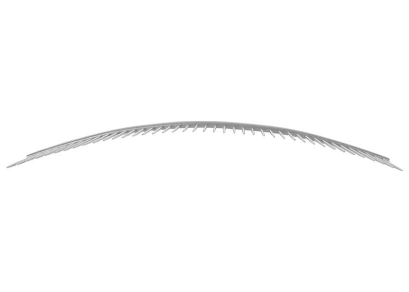 Show Tech + Featherlight Curved Comb 19 cm