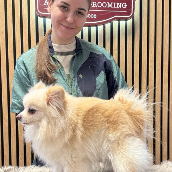 32. Intensive Grooming Basic Course 11.2025