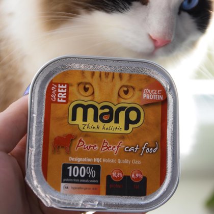 Marp Pure Beef for CATS