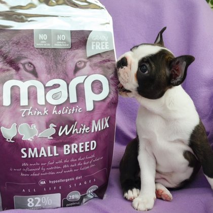 Marp Think Holistic White Mix Small Breed