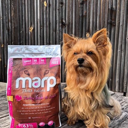Marp Think Holistic Turkey Senior & Light